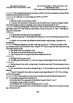 Đề thi chọn học sinh giỏi môn Sinh học Lớp 11 - Đề 2 - Năm học 2018-2019 - Trường THPT Phan Thúc Trực (Có đáp án)